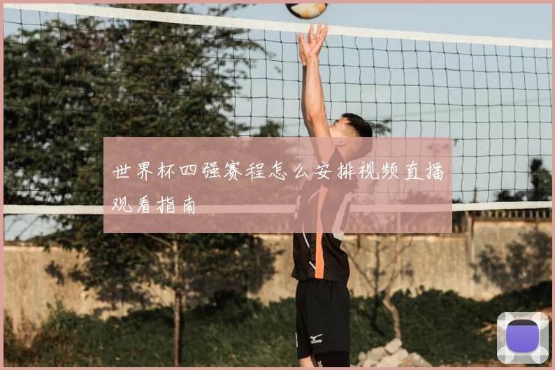 世界杯四强赛程怎么安排视频直播观看指南