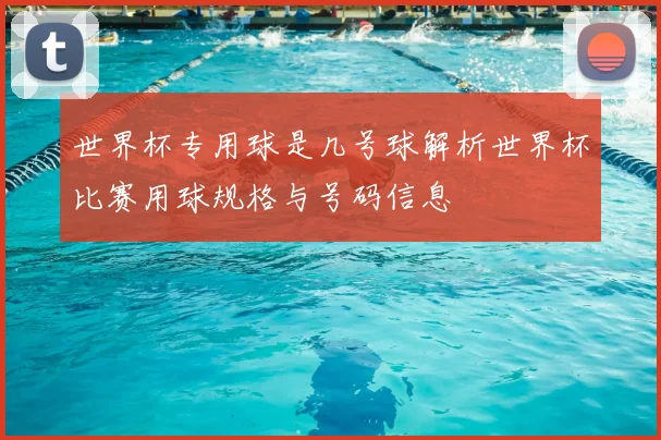 世界杯专用球是几号球解析世界杯比赛用球规格与号码信息