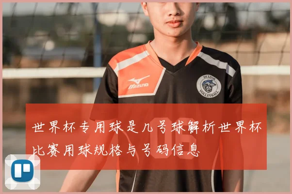 世界杯专用球是几号球解析世界杯比赛用球规格与号码信息